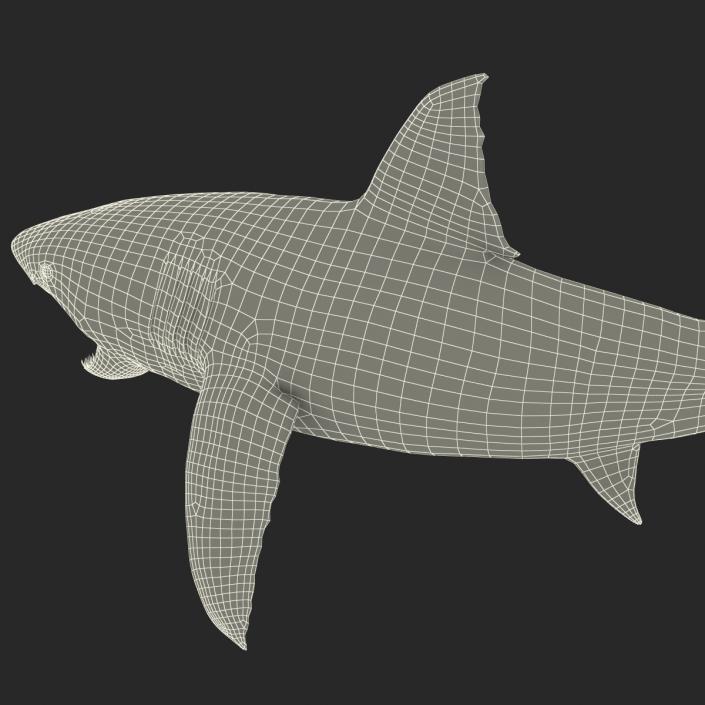 Great White Shark Attacking Pose 3D