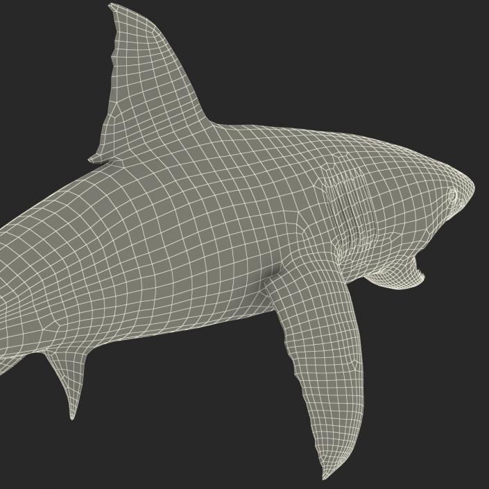 Great White Shark Attacking Pose 3D