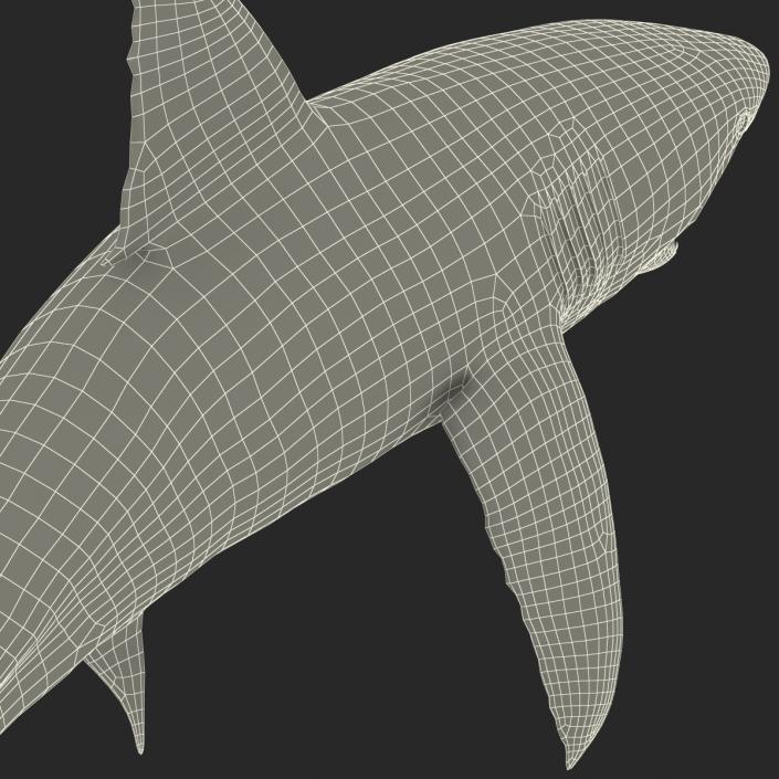 Great White Shark Attacking Pose 3D