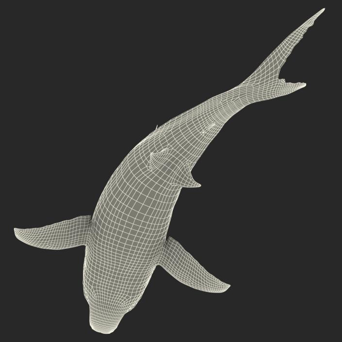 Great White Shark Attacking Pose 3D