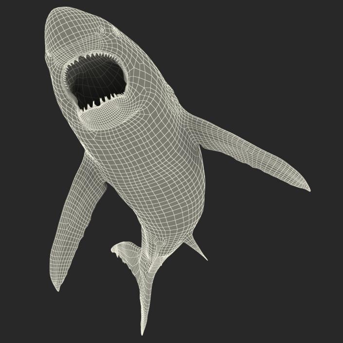 Great White Shark Attacking Pose 3D