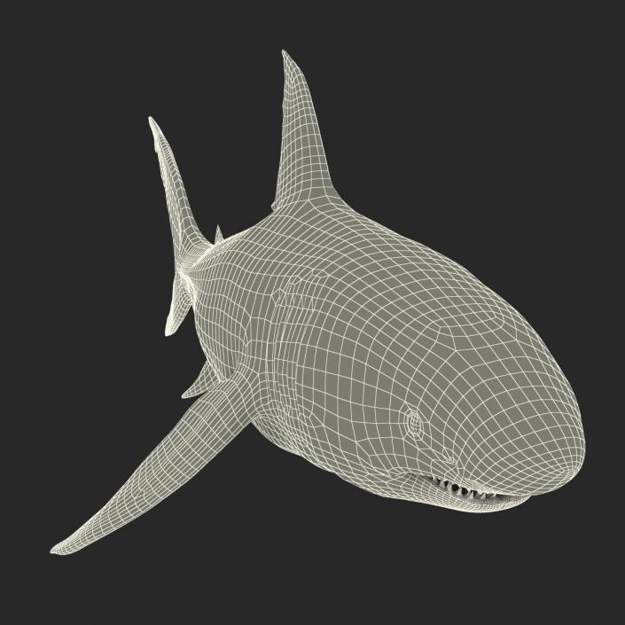 Great White Shark Rigged 3D model