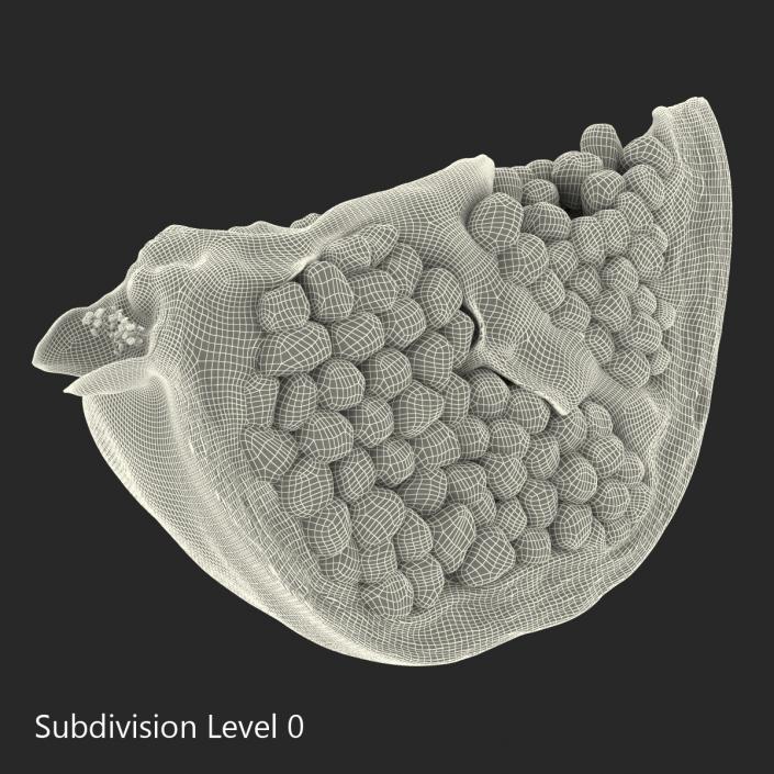 Pomegranate Slice 3D