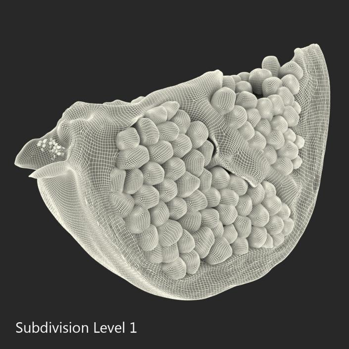 Pomegranate Slice 3D