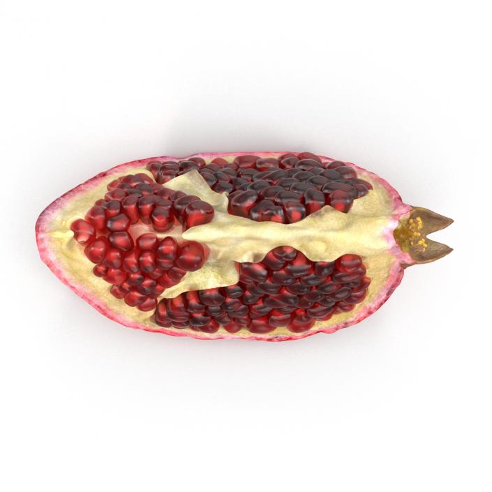 Pomegranate Slice 3D