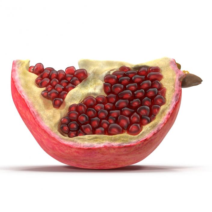 Pomegranate Slice 3D