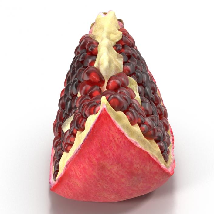 Pomegranate Slice 3D