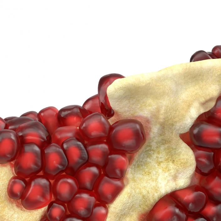 Pomegranate Slice 3D