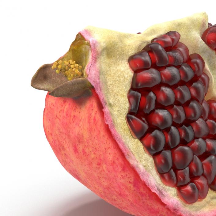 Pomegranate Slice 3D