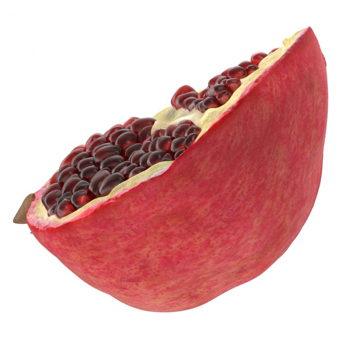 Pomegranate Slice 3D