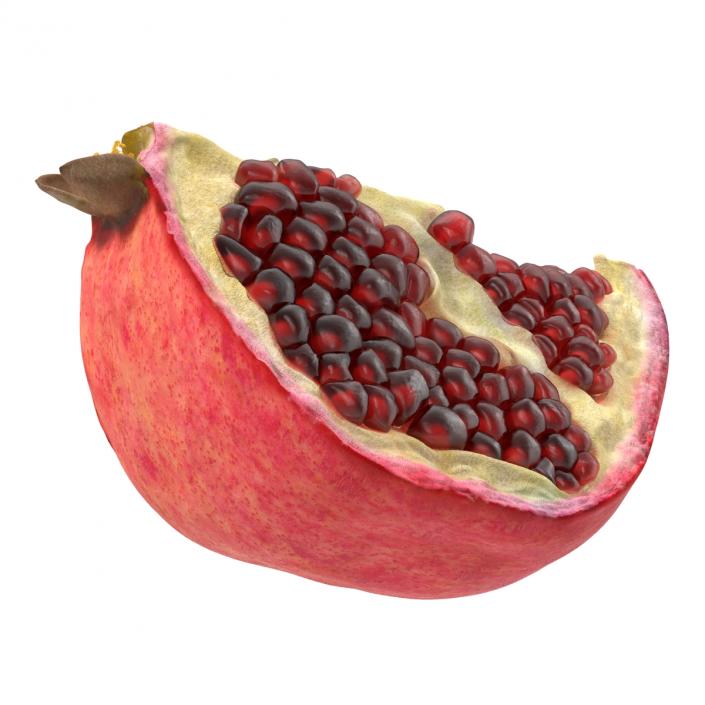 Pomegranate Slice 3D