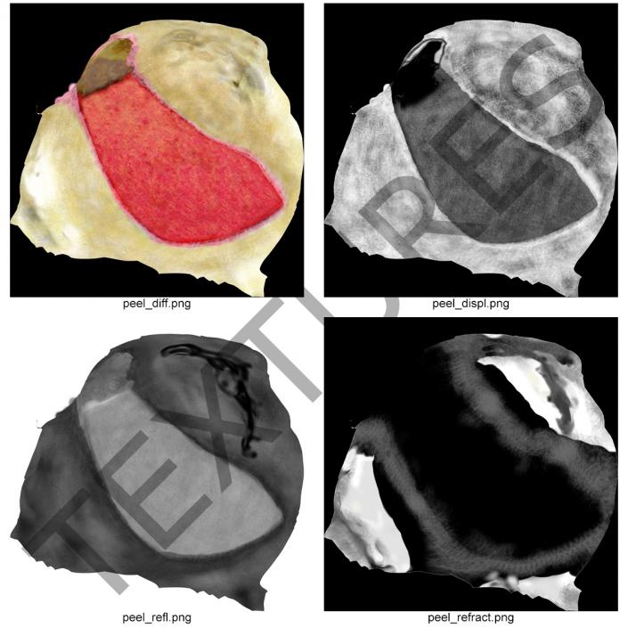 Pomegranate Slice 2 3D model