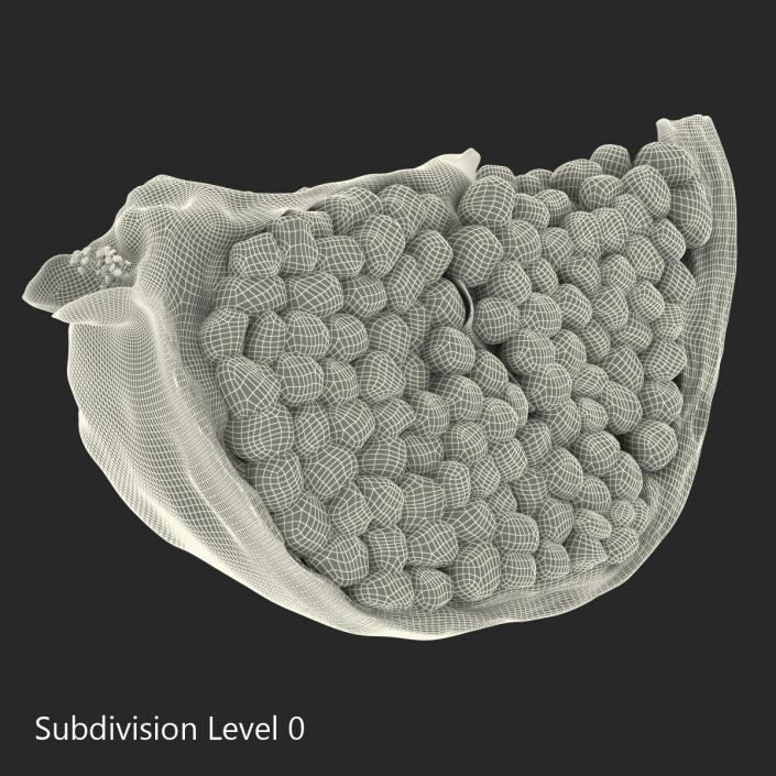 Pomegranate Slice 2 3D model