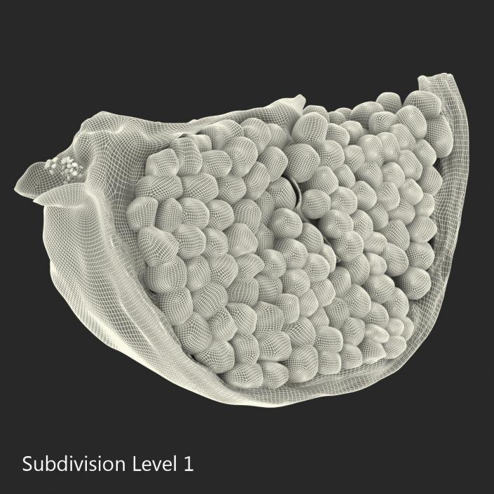 Pomegranate Slice 2 3D model