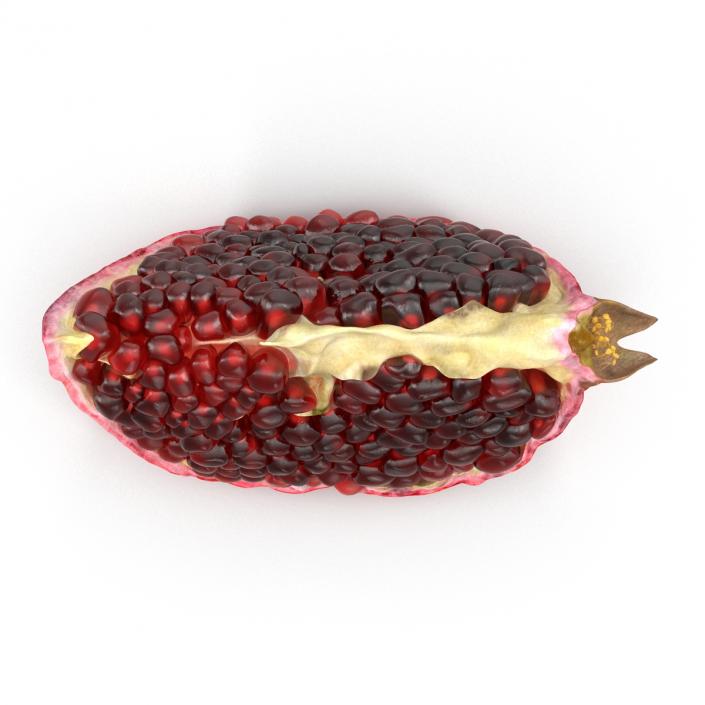 Pomegranate Slice 2 3D model