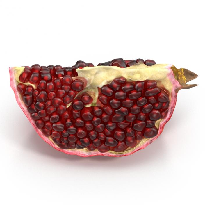 Pomegranate Slice 2 3D model