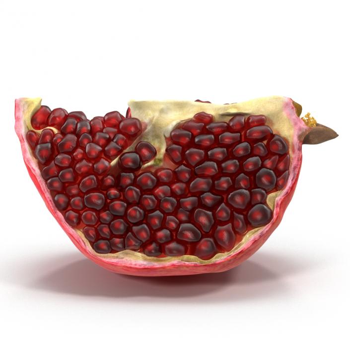 Pomegranate Slice 2 3D model