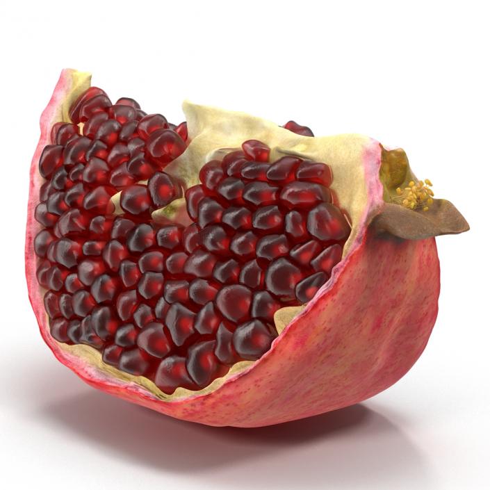 Pomegranate Slice 2 3D model