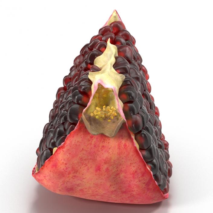 Pomegranate Slice 2 3D model