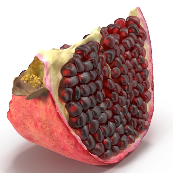 Pomegranate Slice 2 3D model