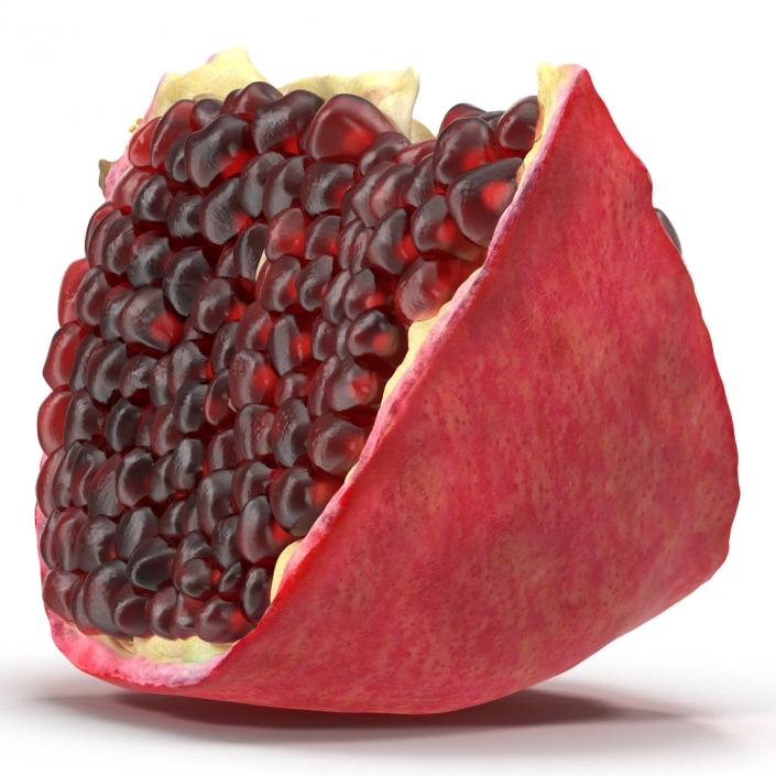 Pomegranate Slice 2 3D model