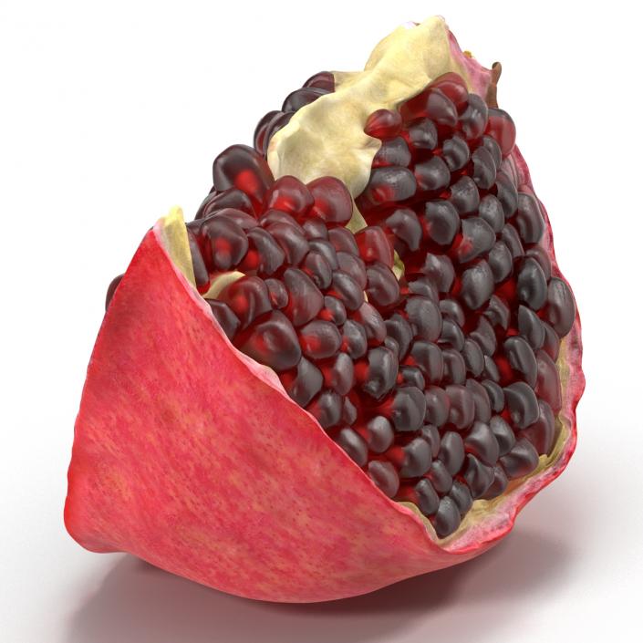 Pomegranate Slice 2 3D model