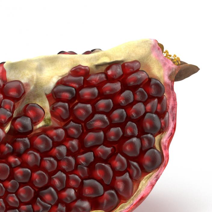 Pomegranate Slice 2 3D model