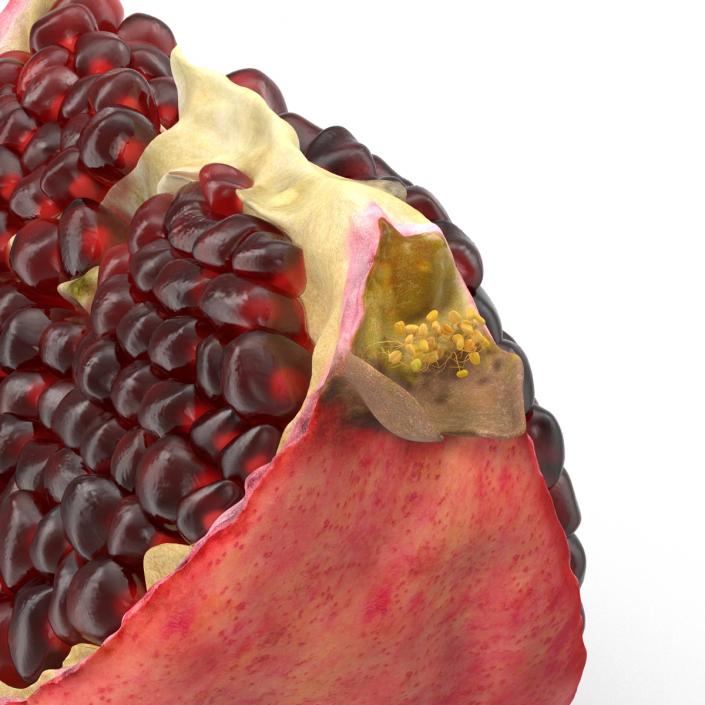 Pomegranate Slice 2 3D model