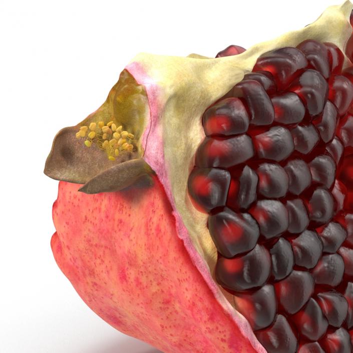 Pomegranate Slice 2 3D model