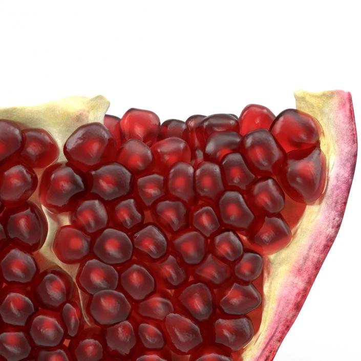 Pomegranate Slice 2 3D model