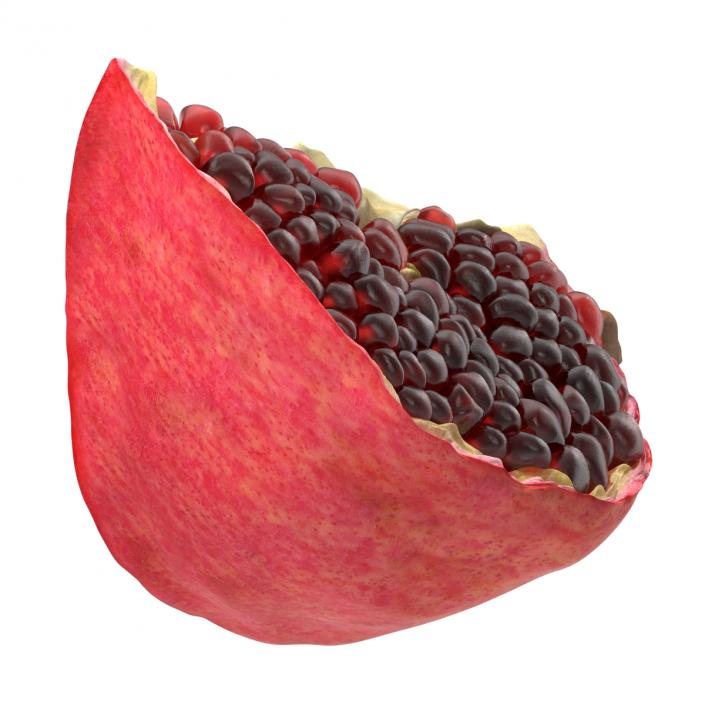 Pomegranate Slice 2 3D model