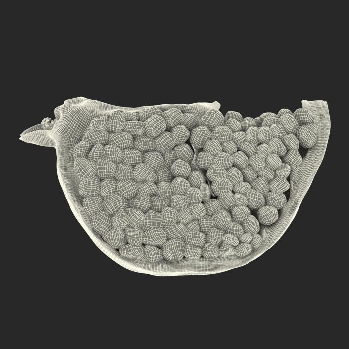 Pomegranate Slice 2 3D model