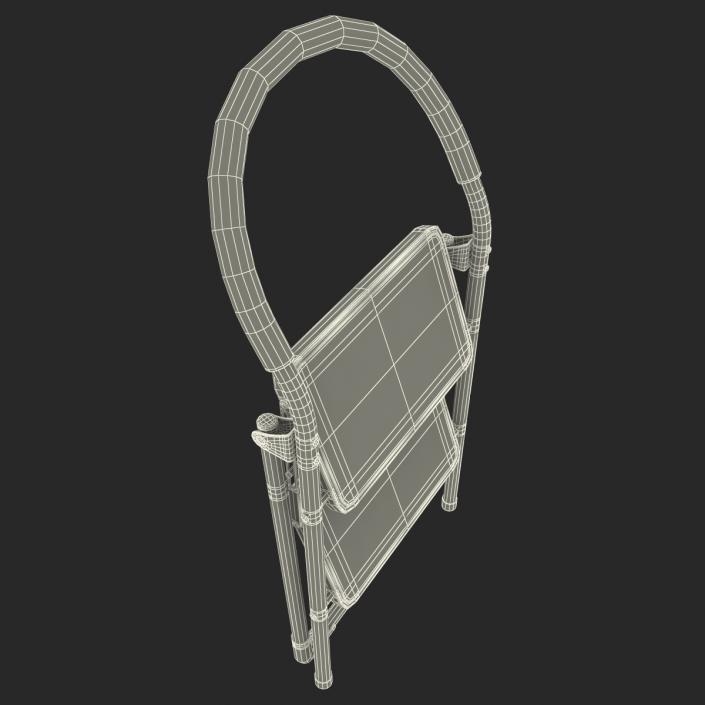 3D model Step Ladder 3 Rigged