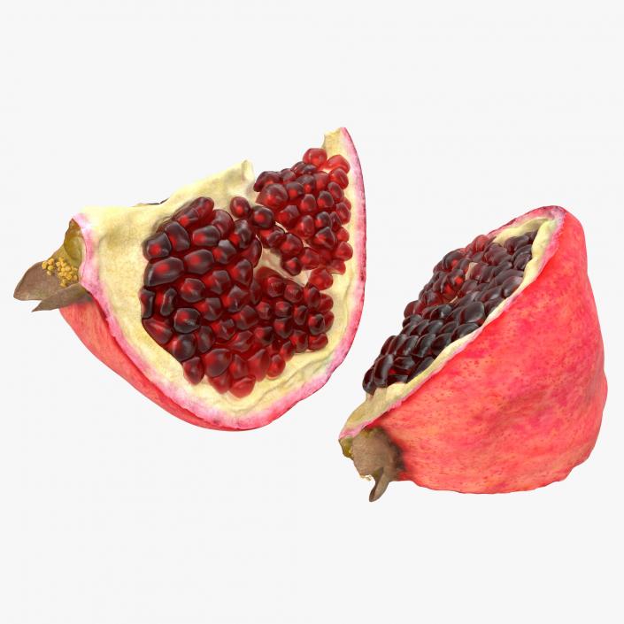 Pomegranate Slice 3 3D model