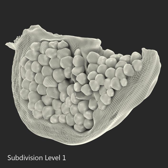 Pomegranate Slice 3 3D model