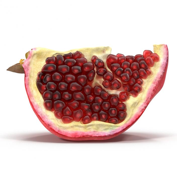 Pomegranate Slice 3 3D model