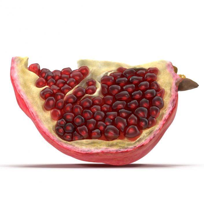 Pomegranate Slice 3 3D model