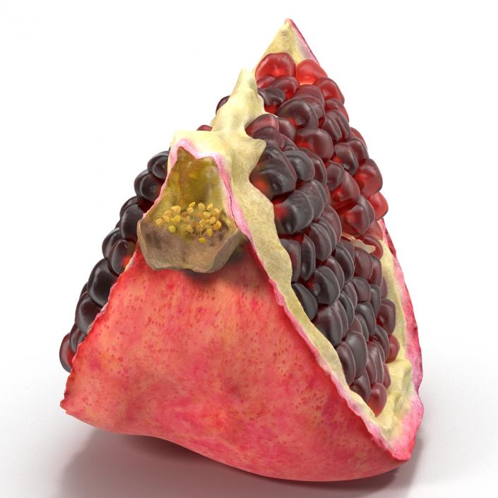 Pomegranate Slice 3 3D model