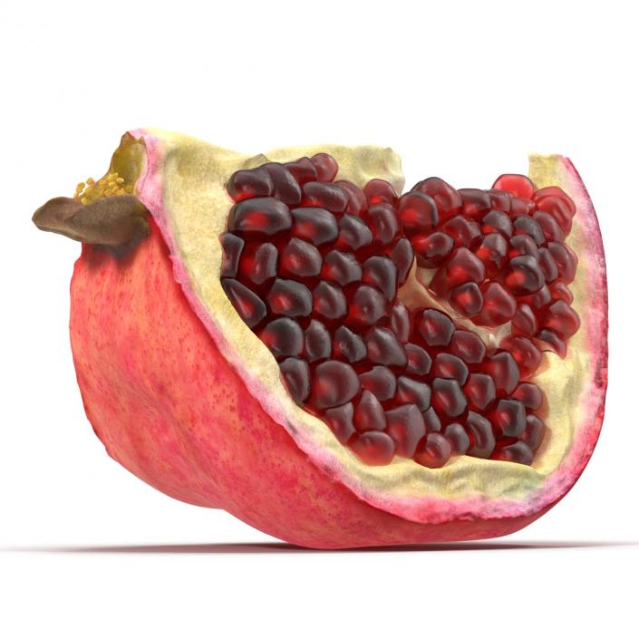 Pomegranate Slice 3 3D model