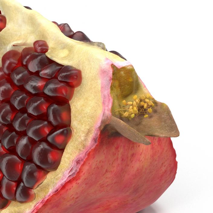 Pomegranate Slice 3 3D model