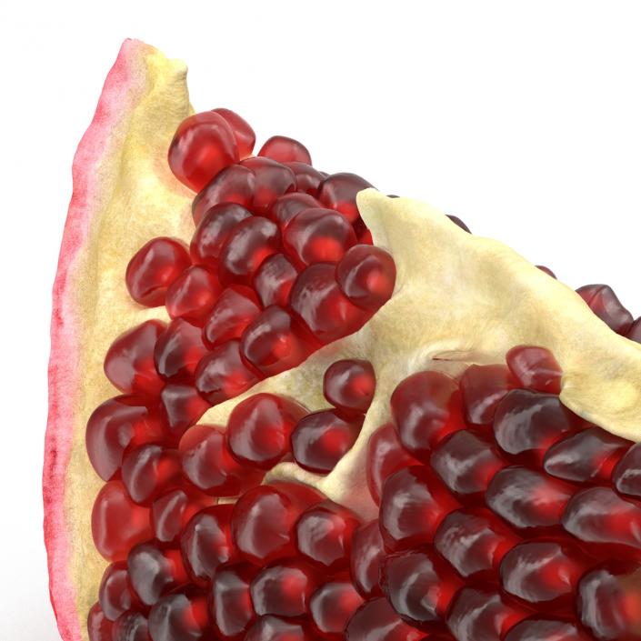 Pomegranate Slice 3 3D model