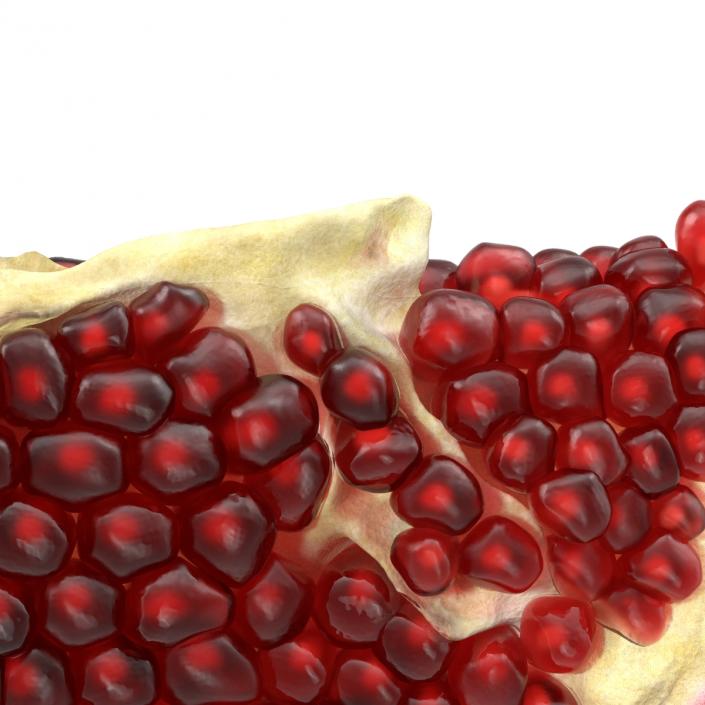 Pomegranate Slice 3 3D model