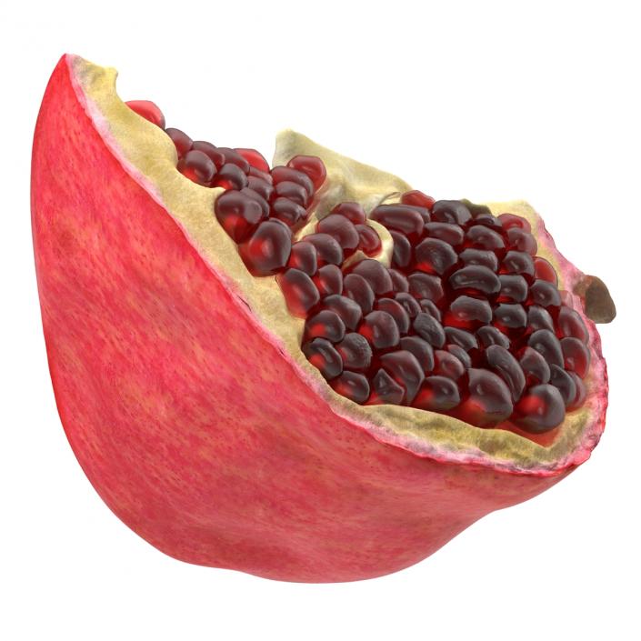 Pomegranate Slice 3 3D model