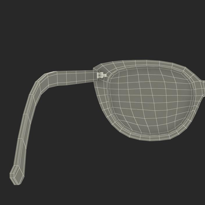 Glasses 3 3D model