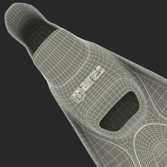 Swim Fins 2 Generic 3D model