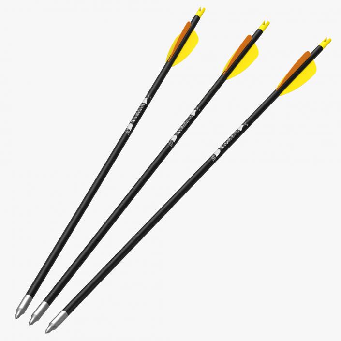 Hunting Sport Arrow 3D model