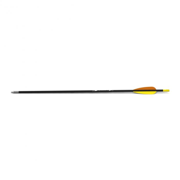 Hunting Sport Arrow 3D model