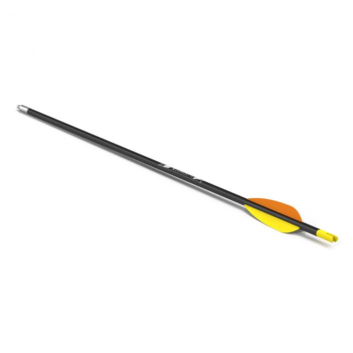 Hunting Sport Arrow 3D model