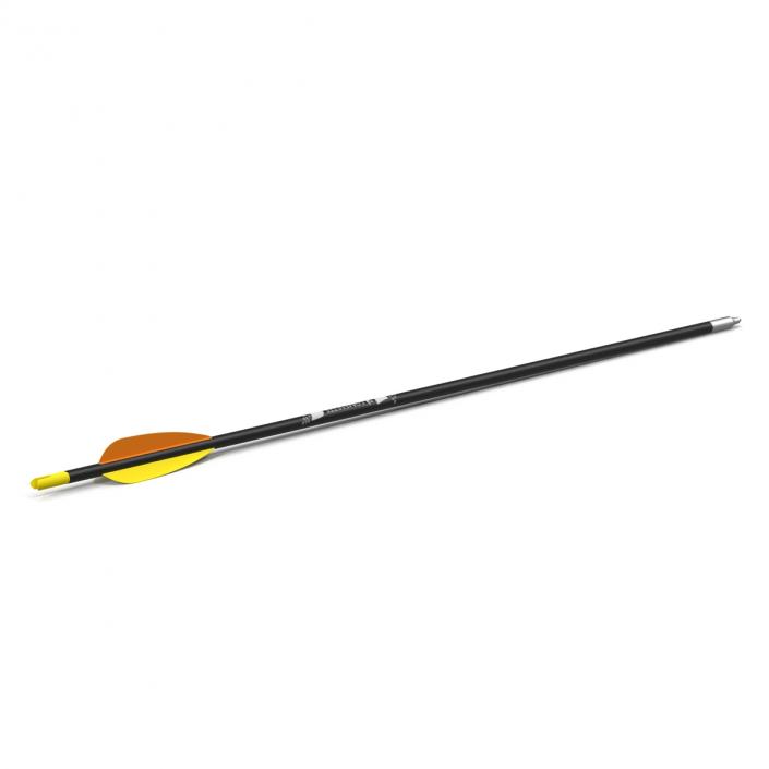 Hunting Sport Arrow 3D model