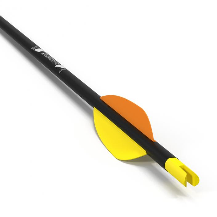 Hunting Sport Arrow 3D model